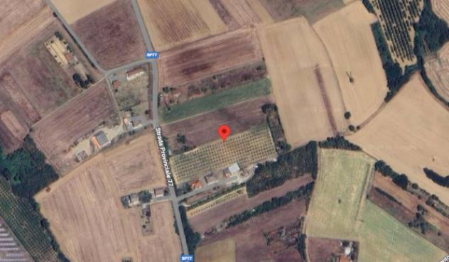 Immobile in asta di 2310 m² in vendita a Felizzano - Foto 2