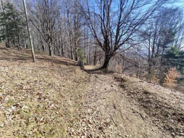 Immobile in asta di 130855 m² in vendita a Verghereto - Foto 10