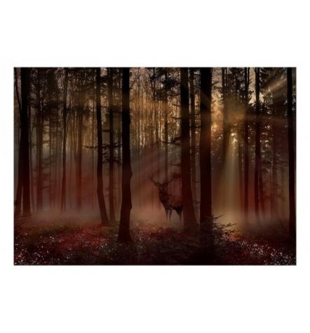 Fotomurale Adesivo Con Un Cervo Nel Bosco Arredalacasa - Foto 2