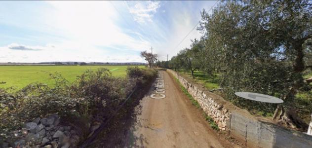 Immobile in asta di 2000 m² con più di 5 locali in vendita a Sammichele di Bari - Foto 4
