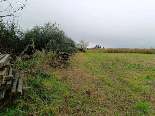 Immobile in asta di 8489 m² in vendita a Marcallo con Casone - Foto 2