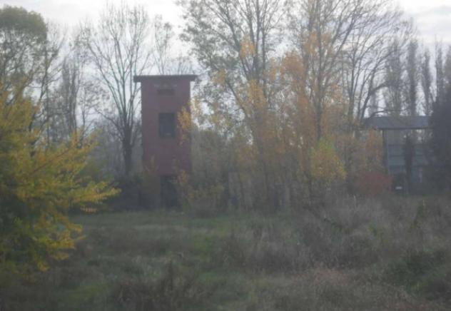 Immobile in asta di 23854 m² in vendita a Ravarino - Foto 17