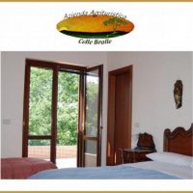 Agriturismo Colle Bralle