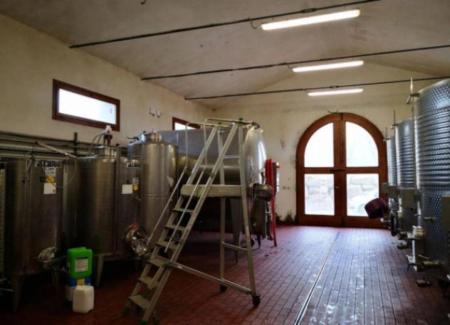 Immobile in asta di 614733 m² in vendita a Murlo - Foto 8