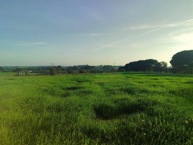 Terreno Agricolo - Rif. 2445 - Foto 4