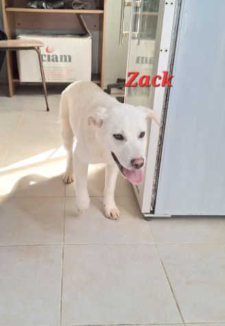 Vuoi far parte della mia vita per tutta la nostra vita?? - Foto 2