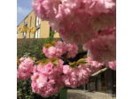 Hotel I Ciliegi