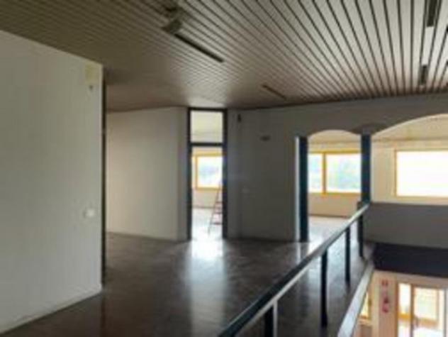 Immobile in asta di 11658 m² con più di 5 locali in vendita a Palo del Colle - Foto 12