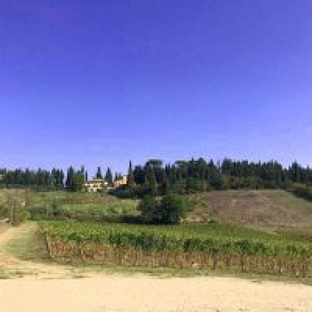 I Colli di Marliano Societa' Agricola S.S.