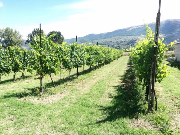 Terreno in vendita in strada montefalco, 25, Montefalco