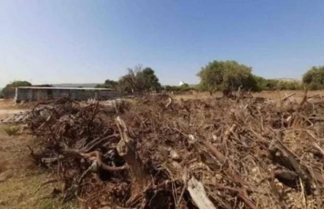 Immobile in asta di 265 m² in vendita a Melilli - Foto 3