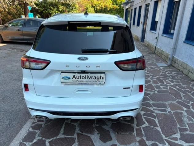 FORD Kuga 2.5 Full Hybrid 190 CV CVT 2WD ST-Line X rif. 23980182 - Foto 6