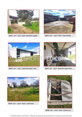 Fabbricati per attività agricole in vendita a Galatina - Rif. 4553054 - Foto 3