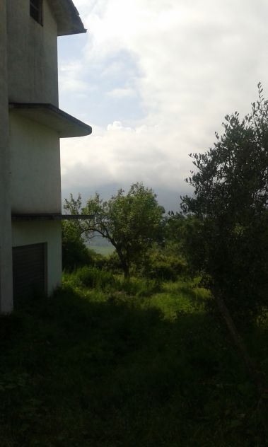 Vendesi fabbricato rustico nel Comune di Viggianello (Parco Naz. del Polllino)