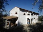 AZIENDA AGRICOLA di 9 vani e di 270 mq (SAN MINIATO) rif. S 703