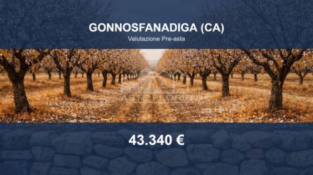 Immobile in asta di 213330 m² in vendita a Gonnosfanadiga