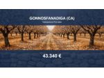 Immobile in asta di 213330 m² in vendita a Gonnosfanadiga