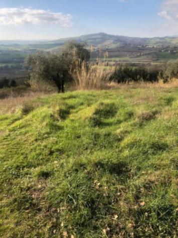 Immobile in asta di 15242 m² in vendita a Gradara - Foto 5