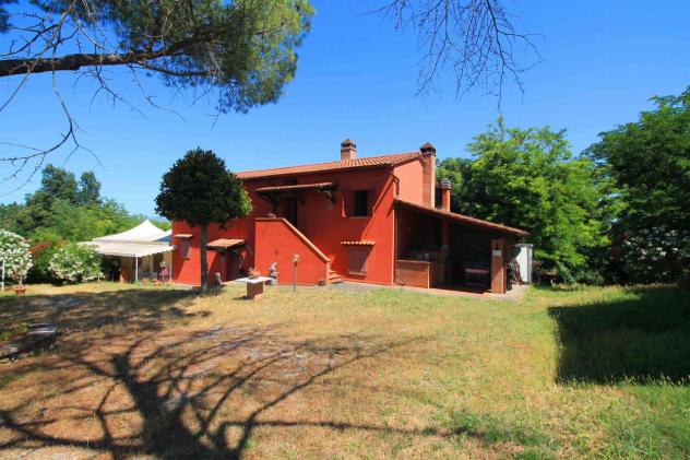 COLONICA di 20 vani e di 650 mq (PALAIA) rif. A 100