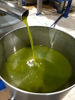 Olio extravergine di oliva di Carmignano dell annata 2024