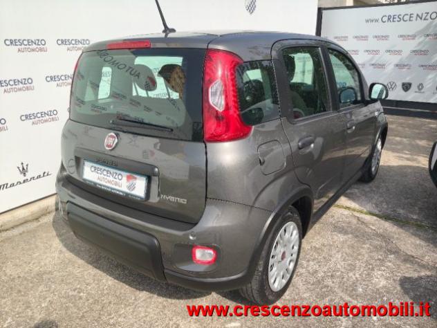 FIAT Panda 1.0 FireFly S&S Hybrid City Life - AZIENDALE rif. 23795806 - Foto 9