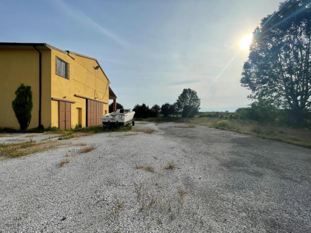 Capannone artigianale in affitto a Migliarino - Vecchiano 790 mq Rif: 1303676 - Foto 5