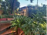 Villa laterale con giardino piantumato