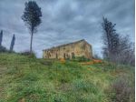 Colonica in vendita a San Miniato 600 mq  Rif: 1085952