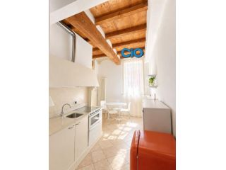 Loft in affitto a Bologna