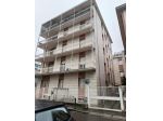 Appartamento 2 locali - Rif. 293