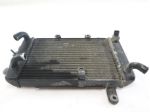 SUZUKI BURGMAN AN 250 1771014F02000 RADIATORE 01 - 03 RADIATOR