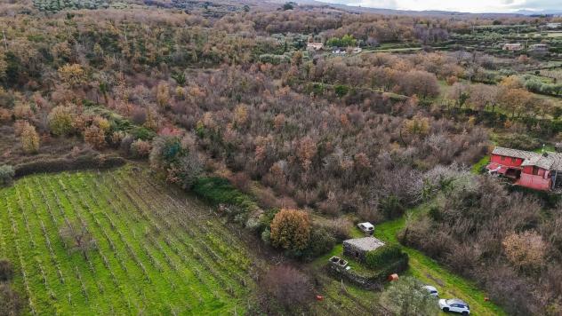 Terreno Edificabile in vendita a Randazzo, Montelaguardia - Foto 5