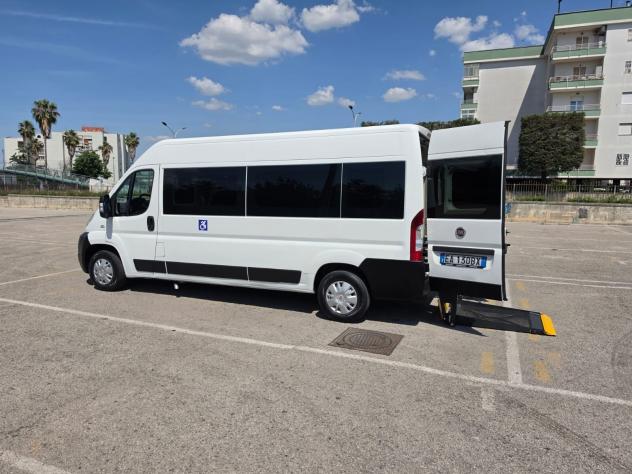 Fiat Ducato Maxi - Trasporto Disabili 9 Posti - Foto 2