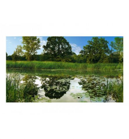Fotomurale Adesivo Nella Foresta Pluviale Arredalacasa - Foto 2