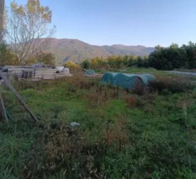 Immobile in asta di 1005 m² in vendita a Palanzano - Foto 7