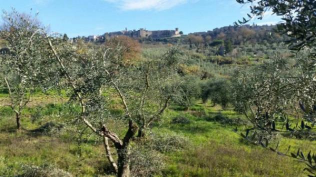Immobile in asta di 70 m² in vendita a Ficulle - Foto 3