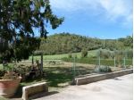 Colonica in vendita a Genovini - San Miniato 270 mq  Rif: 1067695