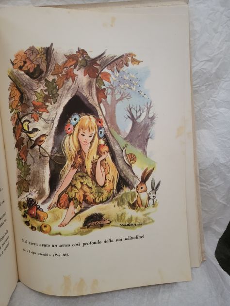 Le Novelle Meravigliose - Foto 4