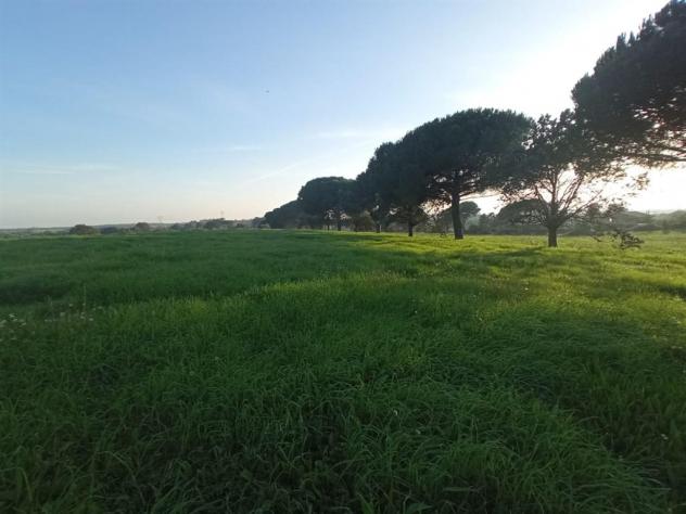 Terreno Agricolo - Rif. 2445 - Foto 3