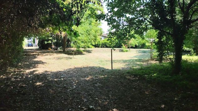 Terreno di 4530 mq con capacità edificatoria di 1000mc - Foto 7