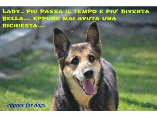 NONNA LADY, adozione del cuore