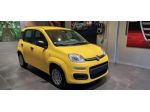 FIAT Panda 1.0 FireFly S&S Hybrid POP rif. 22452712