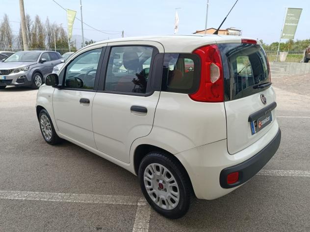 FIAT Panda 1.2 69cv E6 Easy FINO A 2 ANNI DI GARANZIA - Foto 7