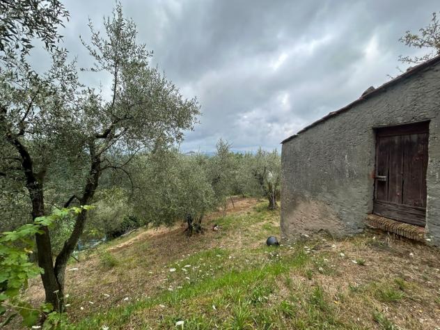 Agricolo in vendita a Arcola - Foto 6