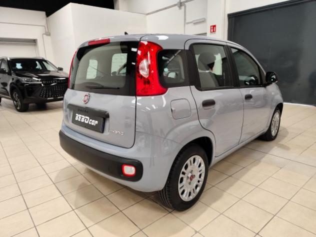 FIAT Panda 1.0 FireFly S&S Hybrid rif. 21813189 - Foto 5