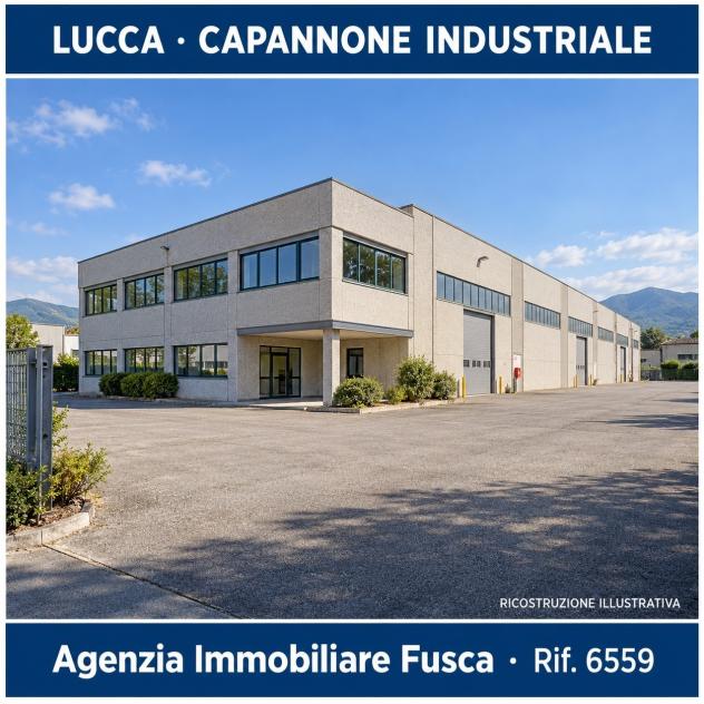 Industriale/Artigianale in vendita a Lucca - Foto 6