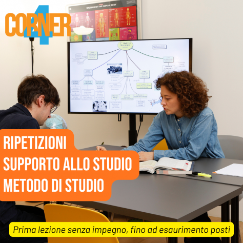 Ripetizioni matematica e fisica – medie e superiori