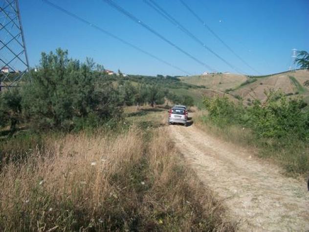 Uliveto in vendita a Lanciano - Foto 6