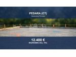 Immobile in asta di 1180 m² in vendita a Pedara