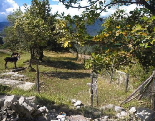 Immobile in asta di 31 m² in vendita a Rocca Santa Maria - Foto 3